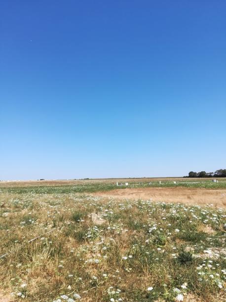 AIGREFEUILLE-D'AUNIS - 310 m2 - 51047euros