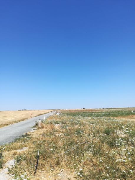 AIGREFEUILLE-D'AUNIS - 327 m2 - 54609euros