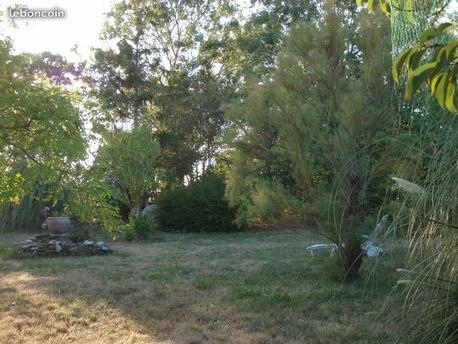 CHAILLE-LES-MARAIS - 880 m2 - 25800euros