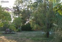 CHAILLE-LES-MARAIS - 880 m2 - 25800euros