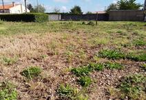 CHALLANS - 1550 m2 - 78000euros