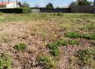 CHALLANS - 1550 m2 - 78000euros