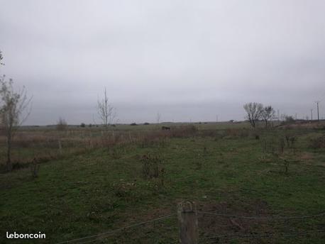 CHAMPAGNE-LES-MARAIS - 1700 m2 - 39000euros