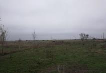 CHAMPAGNE-LES-MARAIS - 1700 m2 - 39000euros