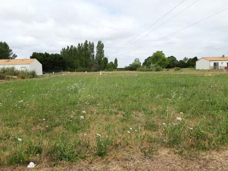 CHAMPAGNE-LES-MARAIS - 546 m2 - 35000euros