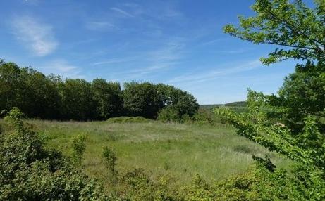 CHANTONNAY - 1000 m2 - 40000euros