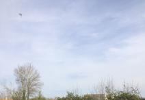 CHAURAY - 313 m2 - 37560euros