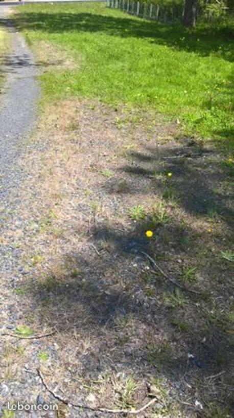 COEX - 480 m2 - 75000euros