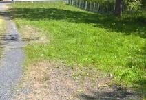 COEX - 480 m2 - 75000euros