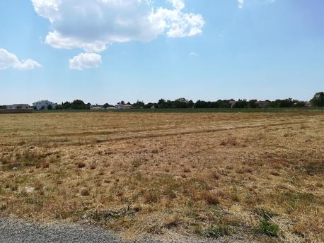 ECHILLAIS - 451 m2 - 50900euros