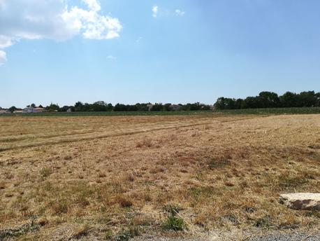 ECHILLAIS - 463 m2 - 50900euros