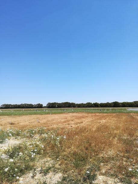 FOURAS - 337 m2 - 109525euros