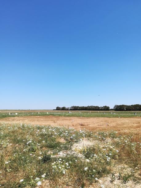 FOURAS - 404 m2 - 136148euros