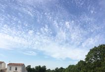 L'ORBRIE - 980 m2 - 25000euros