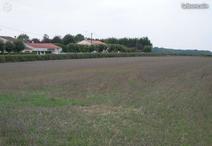 LA CAILLERE-SAINT-HILAIRE - 950 m2 - 15200euros