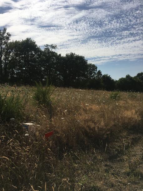 LANDERONDE - 456 m2 - 44500euros