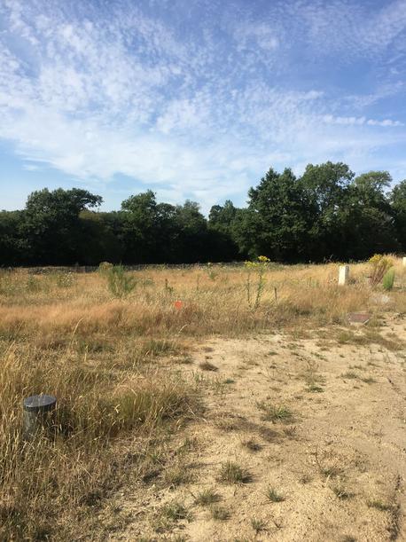 LANDERONDE - 457 m2 - 42000euros