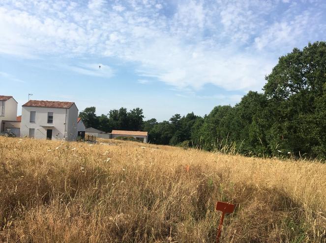 LANDERONDE - 506 m2 - 51000euros