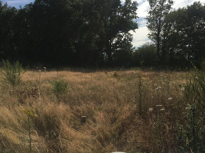 LANDERONDE - 515 m2 - 49000euros