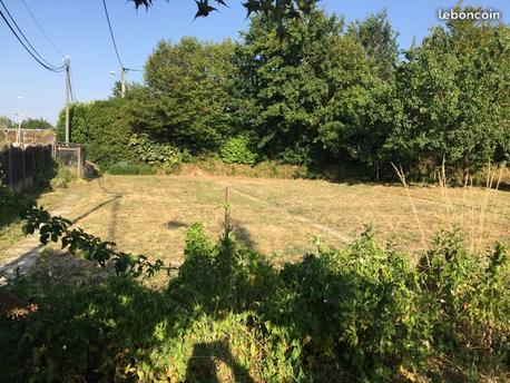 LE POIRE-SUR-VIE - 609 m2 - 66000euros