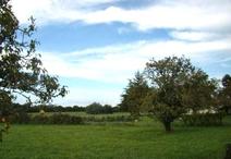 LES MAGNILS-REIGNIERS - 724 m2 - 35000euros