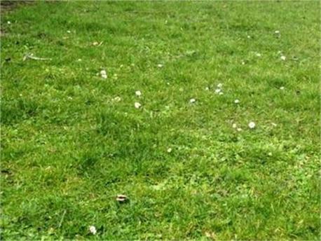 LES SABLES-D'OLONNE - 350 m2 - 227500euros