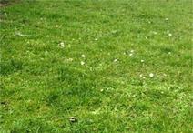 LES SABLES-D'OLONNE - 350 m2 - 227500euros