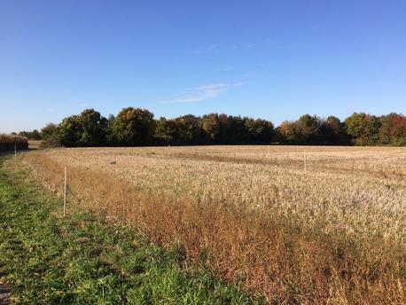 LONGEVILLE-SUR-MER - 282 m2 - 42900euros