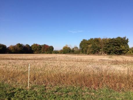 LONGEVILLE-SUR-MER - 318 m2 - 47900euros