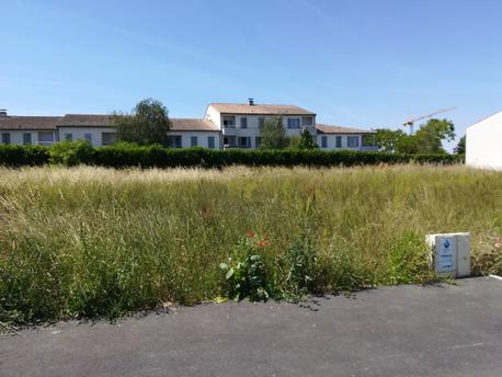 MARANS - 448 m2 - 49800euros