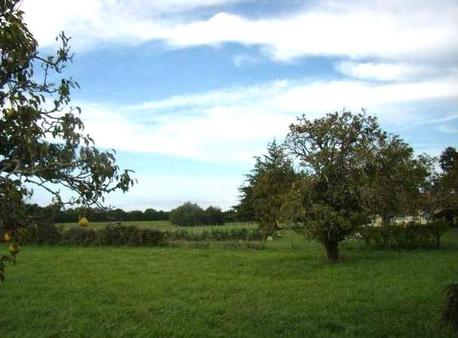 MOUILLERON-LE-CAPTIF - 1146 m2 - 95700euros