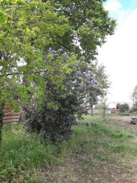 MOUTIERS-LES-MAUXFAITS - 1149 m2 - 79400euros