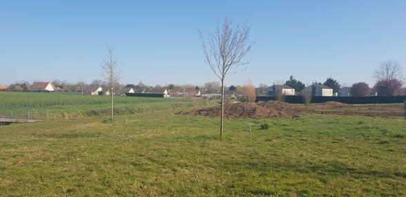 NAINTRE - 321 m2 - 21681euros