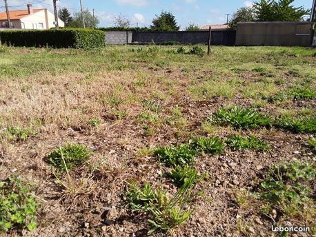 NOTRE-DAME-DE-MONTS - 301 m2 - 75000euros