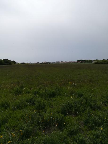 PORT-DES-BARQUES - 420 m2 - 49600euros