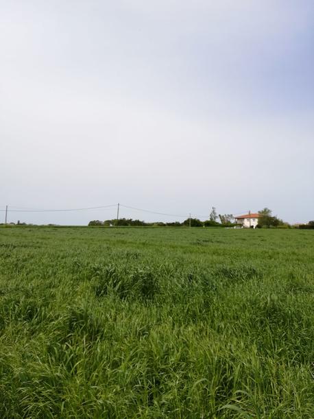 PORT-DES-BARQUES - 525 m2 - 62000euros