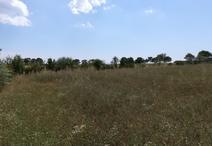 PORT-DES-BARQUES - 636 m2 - 75000euros