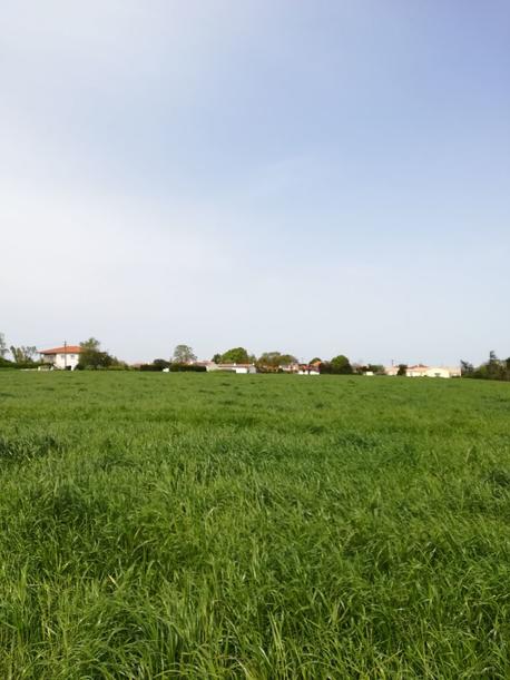 PORT-DES-BARQUES - 702 m2 - 82900euros