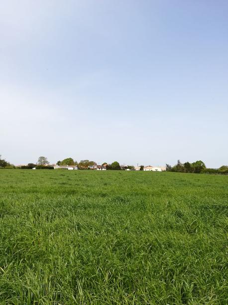 PORT-DES-BARQUES - 741 m2 - 87500euros