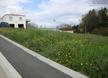 POUZAUGES - 664 m2 - 26594euros