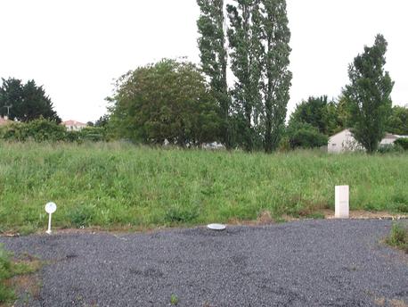 SAINT-ANDRE-GOULE-D'OIE - 1100 m2 - 60000euros