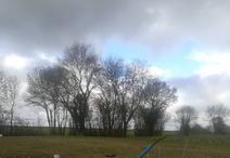 SAINT-GEORGES-DU-BOIS - 350 m2 - 32550euros