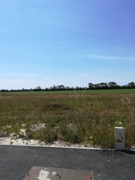 SAINT-JEAN-DE-LIVERSAY - 450 m2 - 45000euros