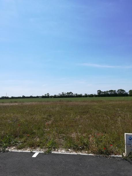 SAINT-JEAN-DE-LIVERSAY - 450 m2 - 45000euros