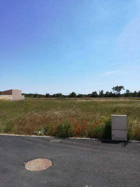 SAINT-JEAN-DE-LIVERSAY - 473 m2 - 47300euros