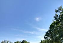 SAINT-SAUVEUR-D'AUNIS - 384 m2 - 51000euros