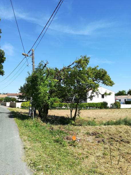 SAINT-SAUVEUR-D'AUNIS - 385 m2 - 51000euros