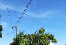 SAINT-SAUVEUR-D'AUNIS - 385 m2 - 51000euros