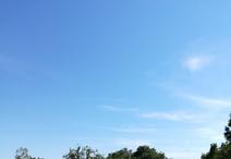 SAINT-SAUVEUR-D'AUNIS - 453 m2 - 59900euros