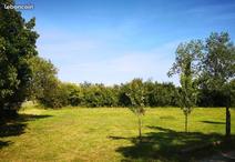 SAINT-URBAIN - 620 m2 - 62000euros